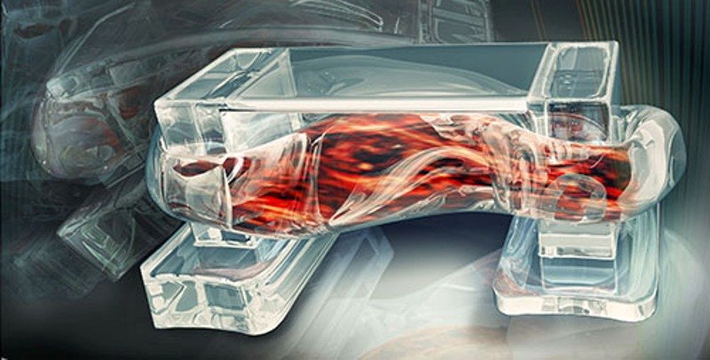 Engineers Create Muscle-Powered Bio-Bots