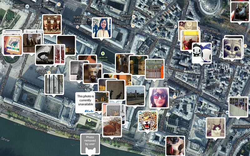 Website Locates Cats to Show Lack of Internet Privacy