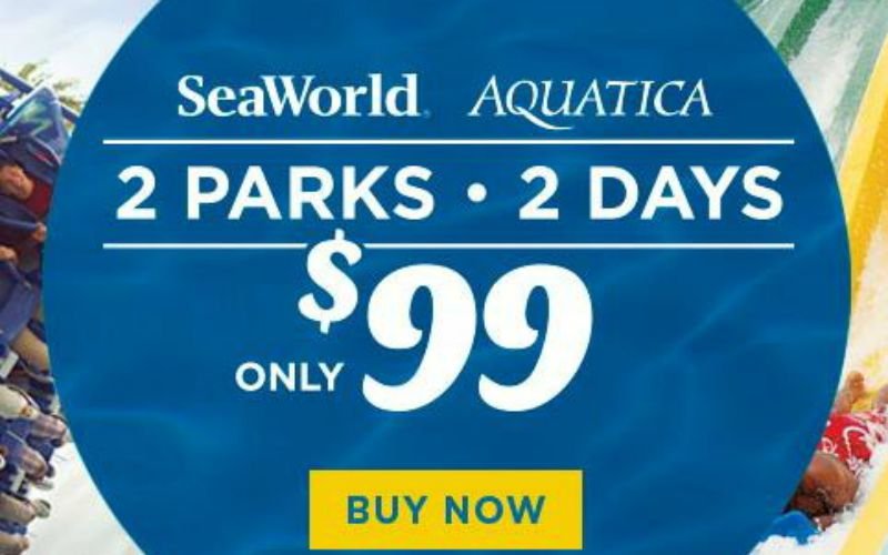SeaWorld Suffers Decline in Revenue After ‘Blackfish’ Documentary