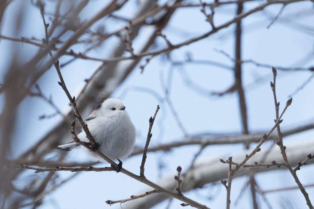 Climate Change Affects the Timing of Natural Processes