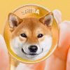 https://www.fastcompany.com/90684269/shib-coin-why-is-the-shiba-inu-cryptocurrency-surging