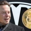 Dogecoin Skyrockets After Elon Musk Announces Tesla Will Accept The Meme Coin