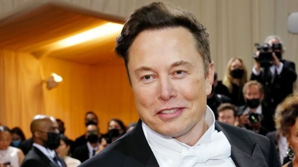 Musk willing to acquire more after Tesla sold off most of its bitcoin