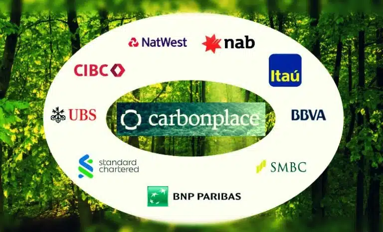Realizing the Potential of Carbon Credits Trading with Fintech