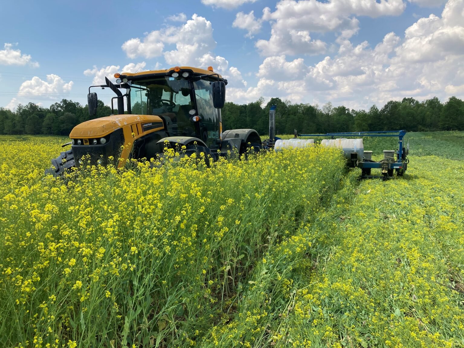 Regenerative Agriculture and Carbon Sequestration: A Solution for a Greener Future