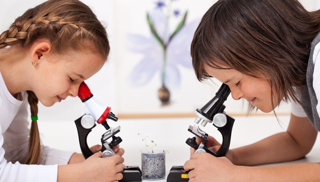 Cultivating a STEM Mindset: Engaging Girls in Science and Technology