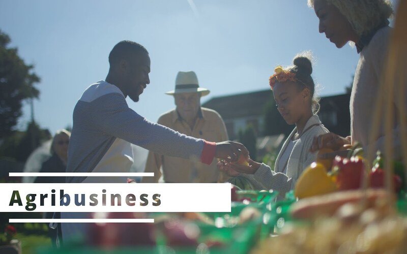 Agribusiness Explained: What It Is, Challenges, and Examples