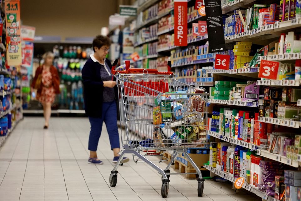 Euro zone PMI hits lowest in nearly 3 years, stirring recession worries A shopping trolley is seen as customers shop at a Carrefour supermarket in Montesson near Paris, France, September 13, 2023. REUTERS/Sarah Meyssonnier/File Photo