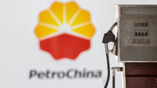 Model of petrol pump is seen in front of PetroChina logo in this illustration taken March 25, 2022. REUTERS/Dado Ruvic/Illustration
