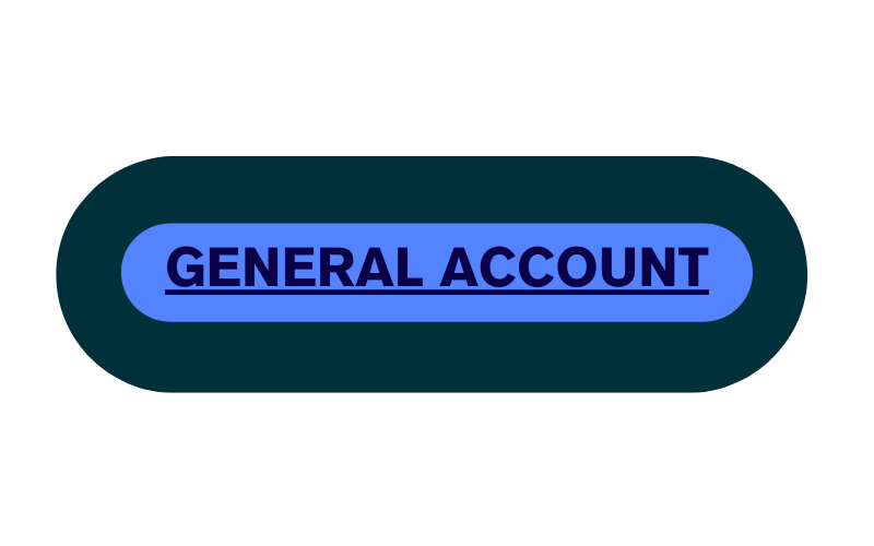General Account: What it is, How it Works File Photo: General Account: What it is, How it Works