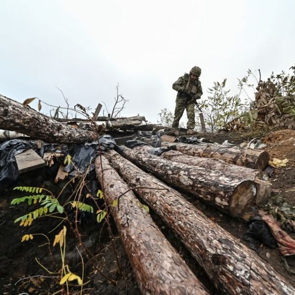 A Ukrainian serviceman inspects a former Russian position outside the village of Robotyne, amid Russia's attack on Ukraine, near a front line in Zaporizhzhia region, Ukraine November 4, 2023. REUTERS/Stringer
