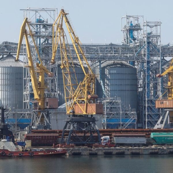 A view shows a grain terminal in the sea port in Odesa after restarting grain export, as Russia's attack on Ukraine continues, Ukraine August 19, 2022. REUTERS/Valentyn Ogirenko/File Photo