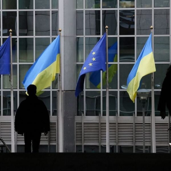 Flags of Ukraine fly in front of the EU Parliament building on the first anniversary of the Russian invasion, in Brussels, Belgium February 24, 2023. REUTERS/Yves Herman/File Photo