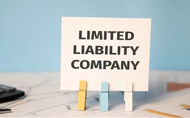 Limited Liability Company (LLC) Structure and Benefits File Photo: Limited Liability Company (LLC) Structure and Benefits