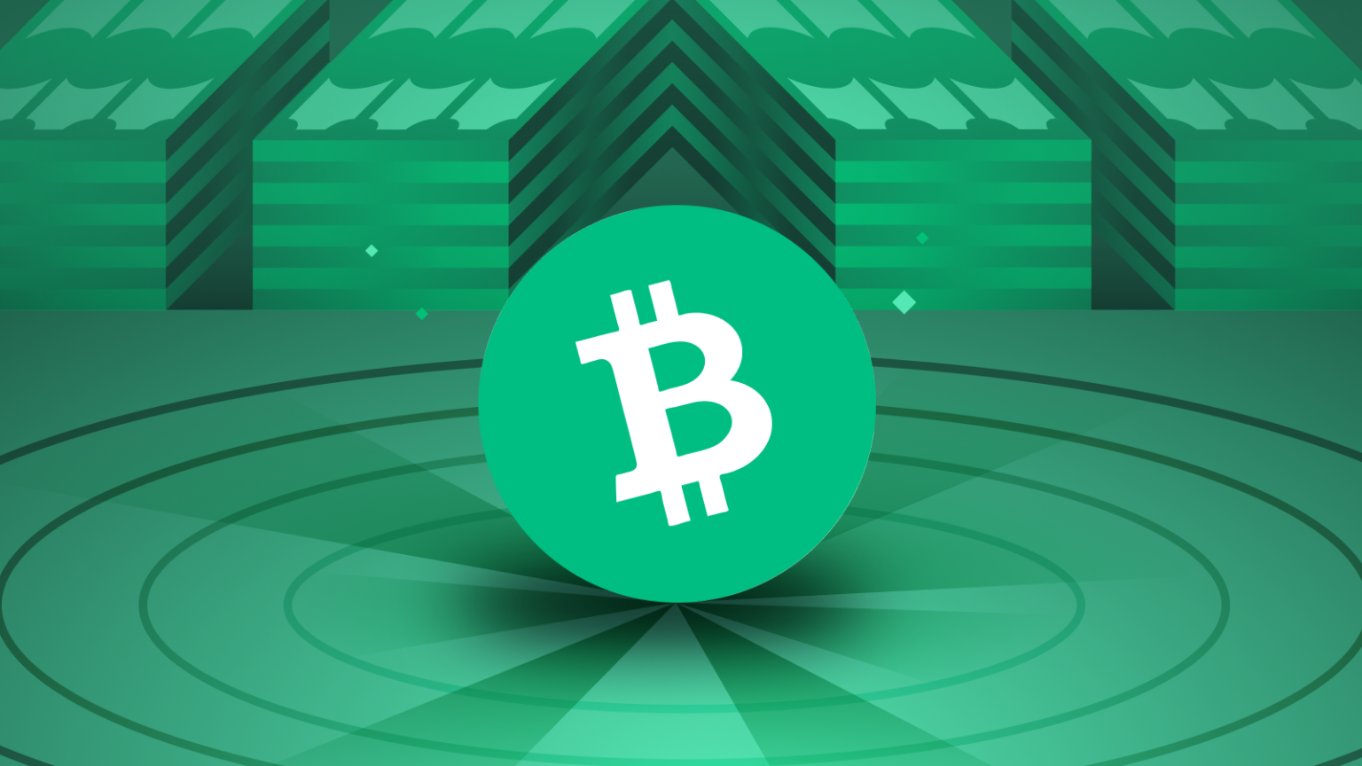 Bitcoin Cash (BCH), and How Does It Work?