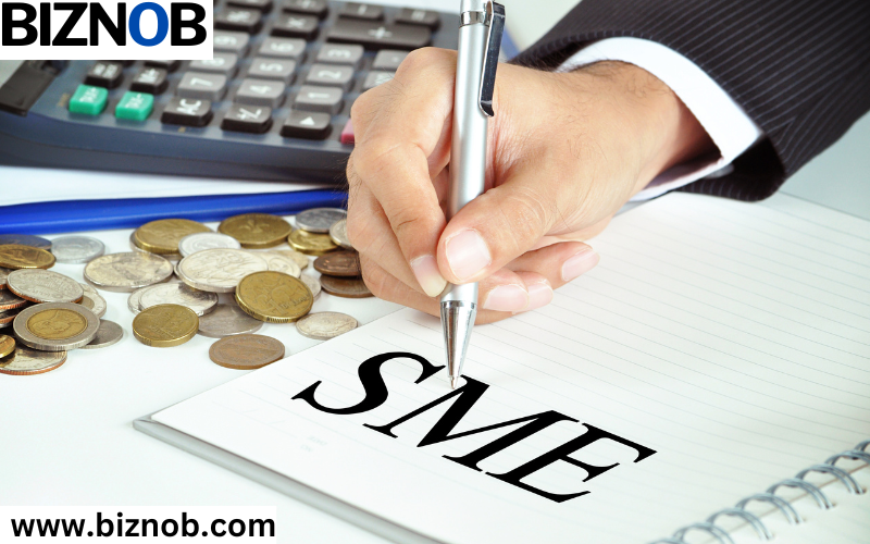 Small and Midsize Enterprise (SME) Defined: Types Around the World File Photo: Small and Midsize Enterprise (SMEs)