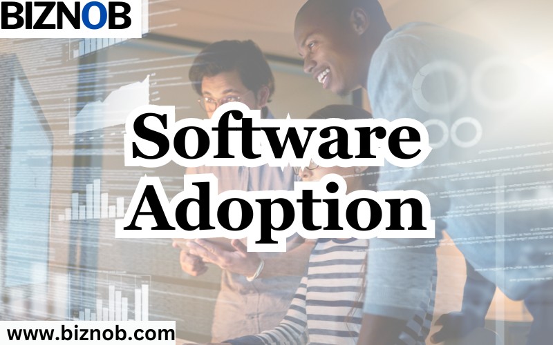 Software Adoption File Photo: Software Adoption