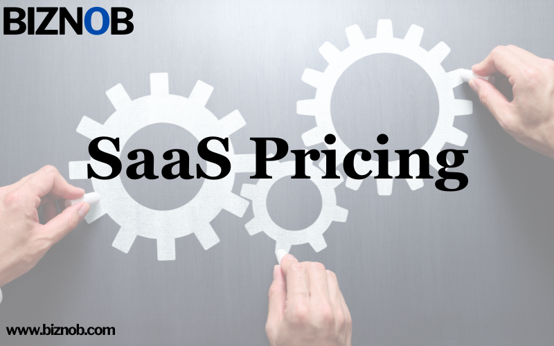 SaaS Pricing File Photo: SaaS Pricing