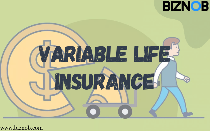 Variable Life Insurance: Definition, Tax Benefits, Vs. Term Life File Photo: Variable Life Insurance: Definition, Tax Benefits, Vs. Term Life