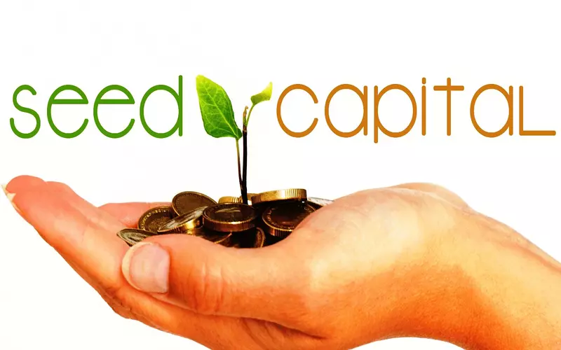 Seed Capital: What It Is, How It Works, Example File Photo: Seed Capital: What It Is, How It Works, Example