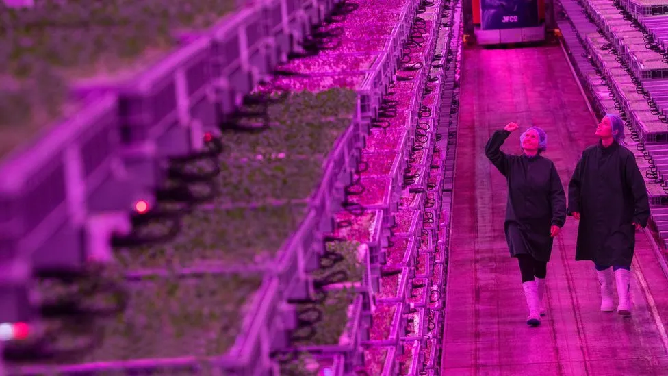 Gloucestershire Vertical Farm Showcases as UK’s Most Advanced Gloucestershire Vertical Farm Showcases as UK's Most Advanced