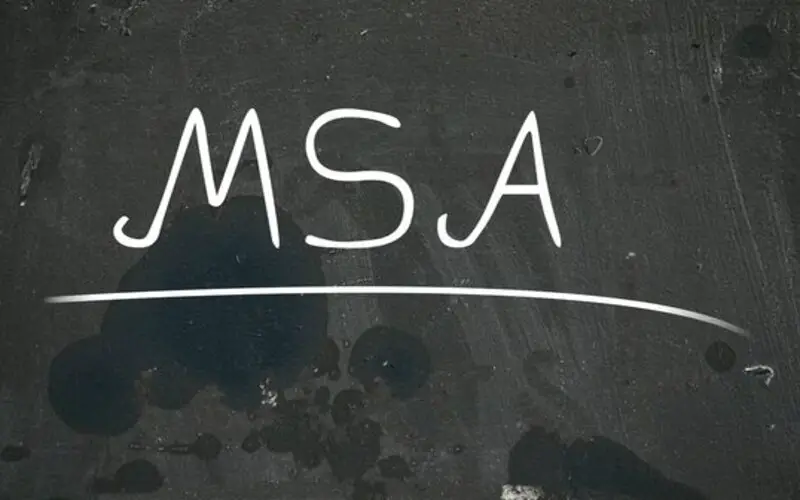 Metropolitan Statistical Area (MSA) File Photo: Metropolitan Statistical Area (MSA)