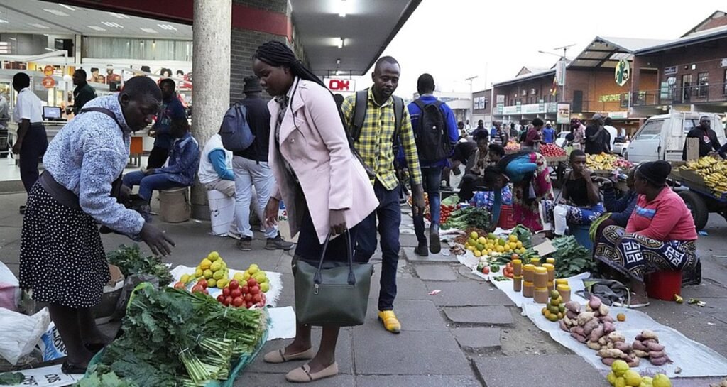 Zimbabwe Informal Traders Dump Zimdollar, Anticipating Debut
