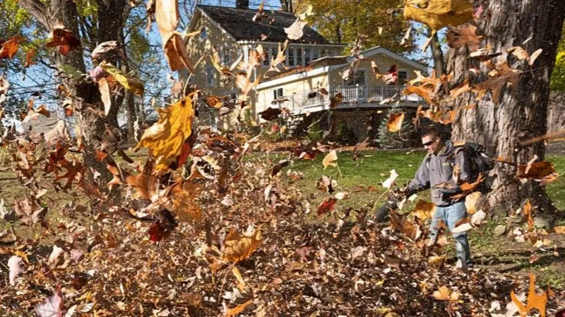 How landscape gardening is being electrified